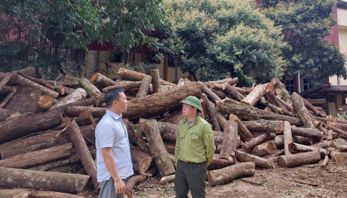 Đeo bám thông tin, theo đến cùng để đưa sự việc ra ánh sáng