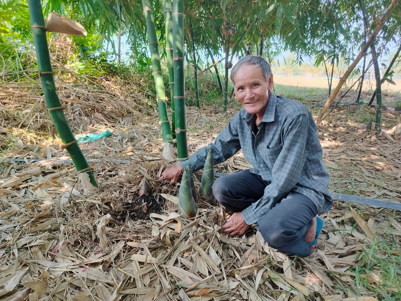 Ở Tây Ninh có 2 ông nông dân đều chuyển sang trồng 