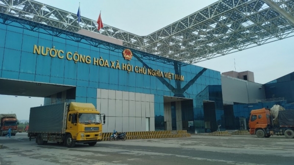 Import and export goods through Mong Cai Border Gate increased sharply