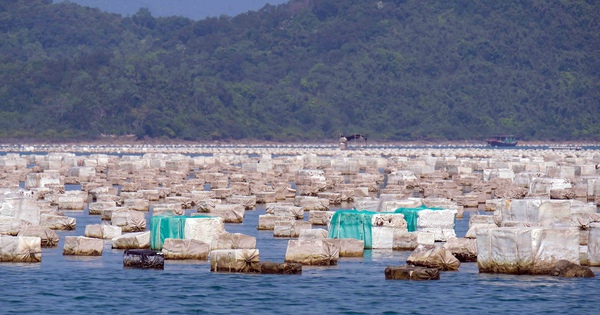 Aquakulturanlagen bedrohen das Kerngebiet der Ha Long Bucht