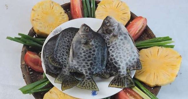 A bowl of fish soup cooked with perilla leaves is delicious, sweet, and rich in flavor from the broth to the fish, so anyone who eats it once will want to eat it again.