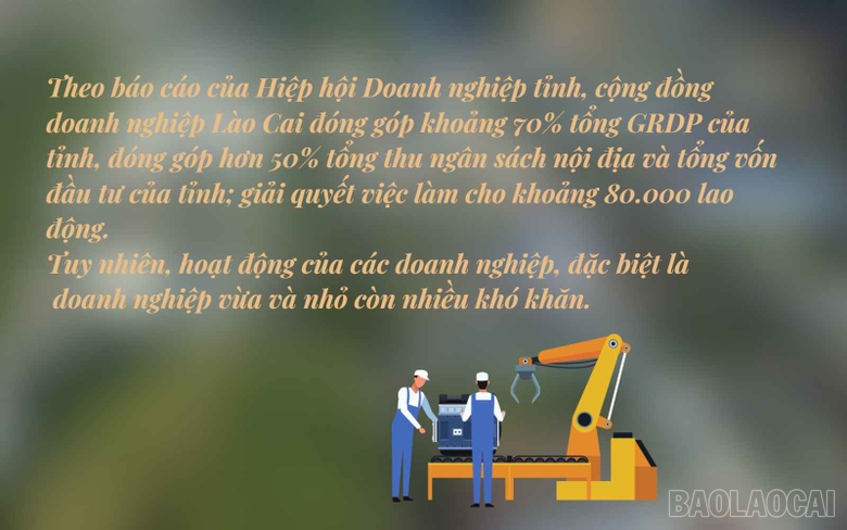 baolaocai_vvn (2).jpg