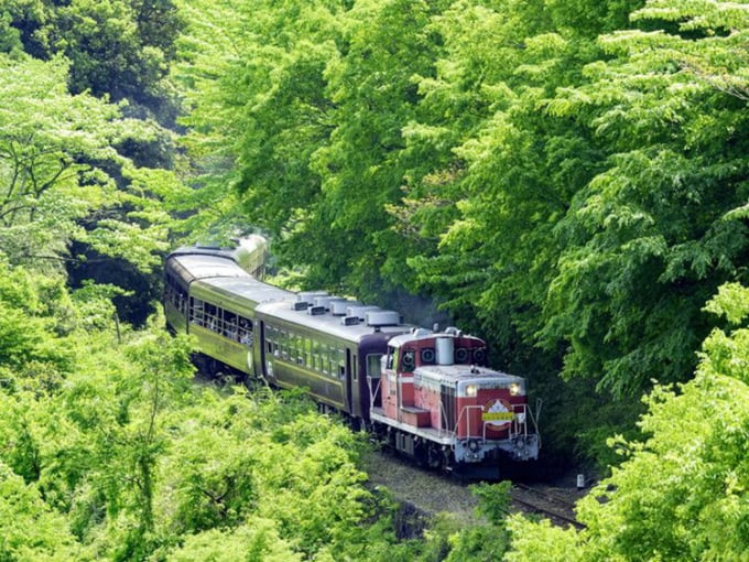 มุมมองสองข้างถนนในขณะที่รถไฟซอมบี้วิ่งผ่านจากมิดอริไปยังนิกโก้ ภาพถ่าย: Pixta