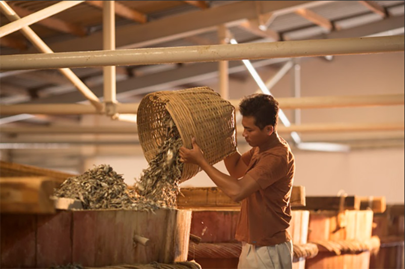 Durante su visita a la fábrica de salsa de pescado de Phu Quoc, Chad Kubanoff se sorprendió por el elaborado proceso de producción de salsa de pescado de alta calidad. Foto: Masan Consumer