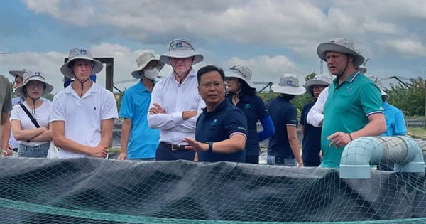 De Heus invests in new saltwater experimental area in Vinh Long, boosting Vietnam's marine fish and shrimp farming industry