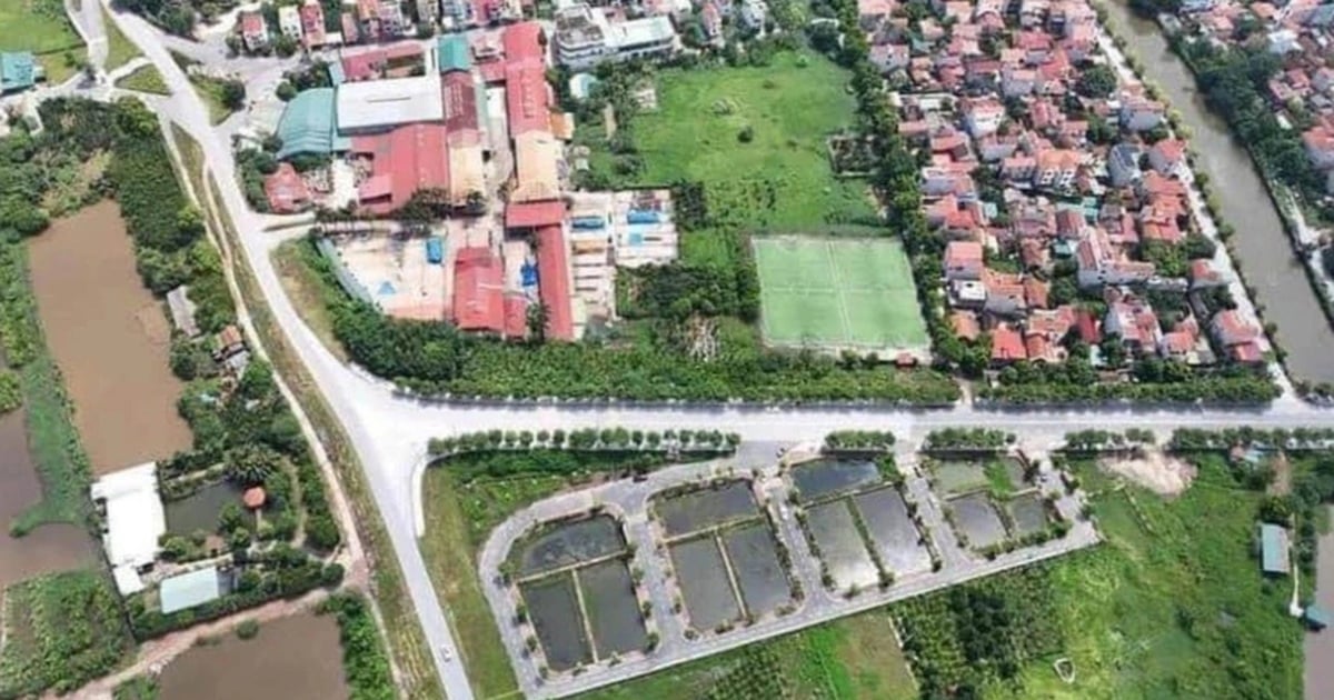 A suburban district of Hanoi auctioned land, the winning price was nearly 100 million VND/m2.