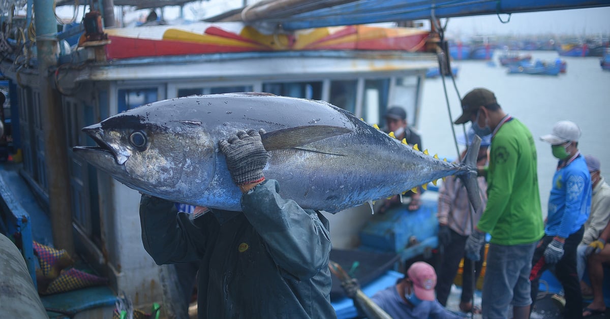 Les exportations de fruits de mer ne représentent qu'environ 8 à 10 milliards USD/an, VASEP propose une série de solutions