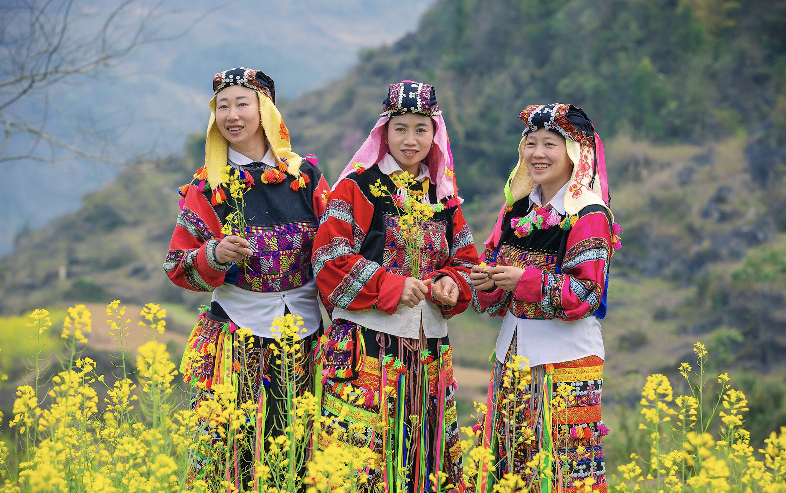 Làng Lô Lô Chải đẹp mê mẩn trên cao nguyên đá Hà Giang