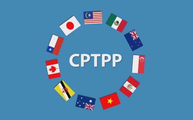 英国はCPTPPに加盟する最初の欧州の国となる 写真1