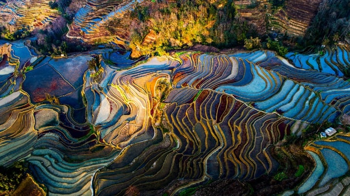 Изображение рисовых террас Хунхэ-Хани в Китае. Фото: China Daily