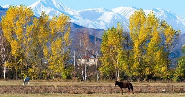 Những khu bảo tồn thiên nhiên và công viên quốc gia tuyệt đẹp tại Kyrgyzstan