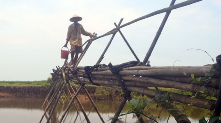 Chông chênh cầu khỉ