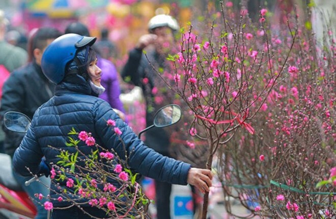 The Ministry of Labor, Invalids and Social Affairs has submitted to the Government a plan for the 2024 Lunar New Year holiday.