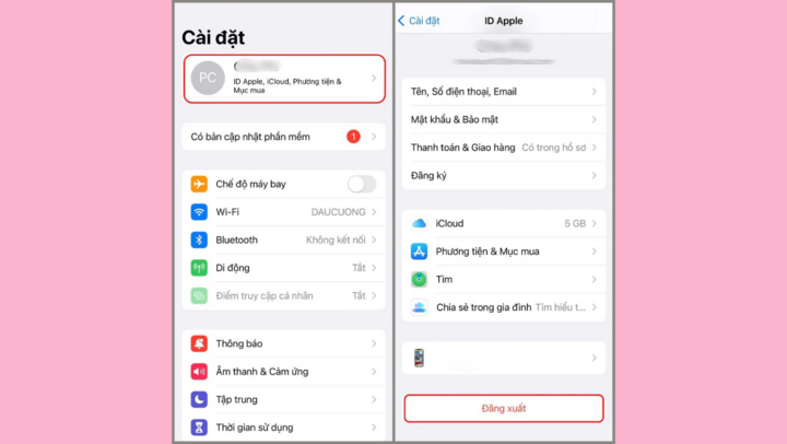 Pasos para eliminar iCloud en un teléfono antiguo - 1