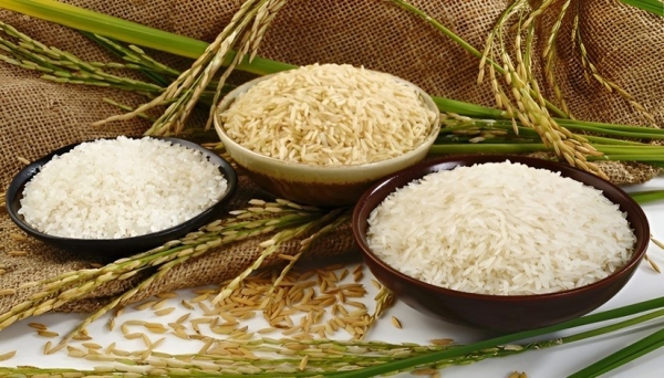 El precio del arroz aumentó ligeramente, el precio del arroz con cáscara aumentó de 50 a 900 VND