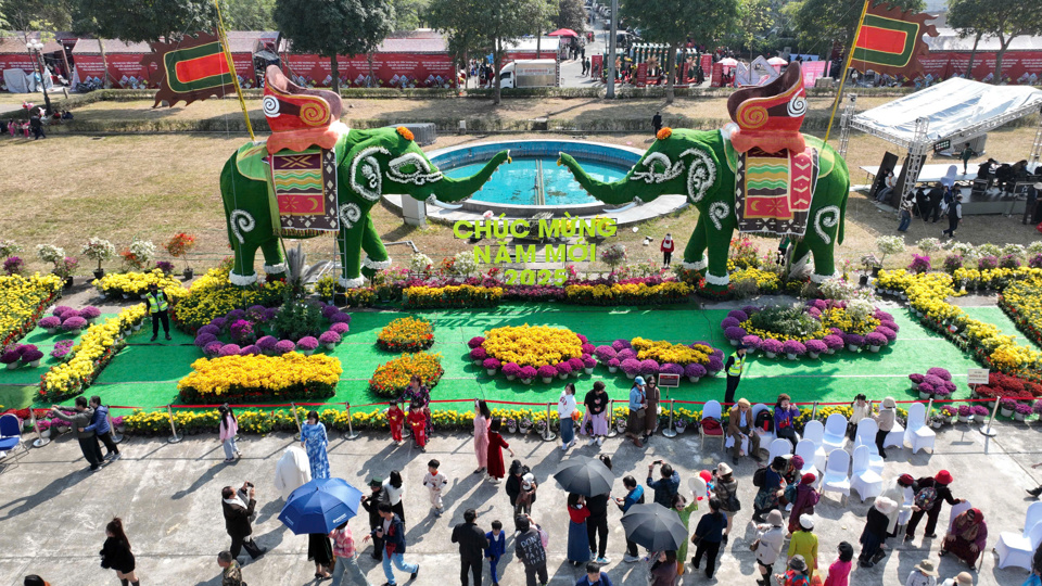 주말마다 메린 꽃 축제에 몰려드는 관광객들 - 사진 5