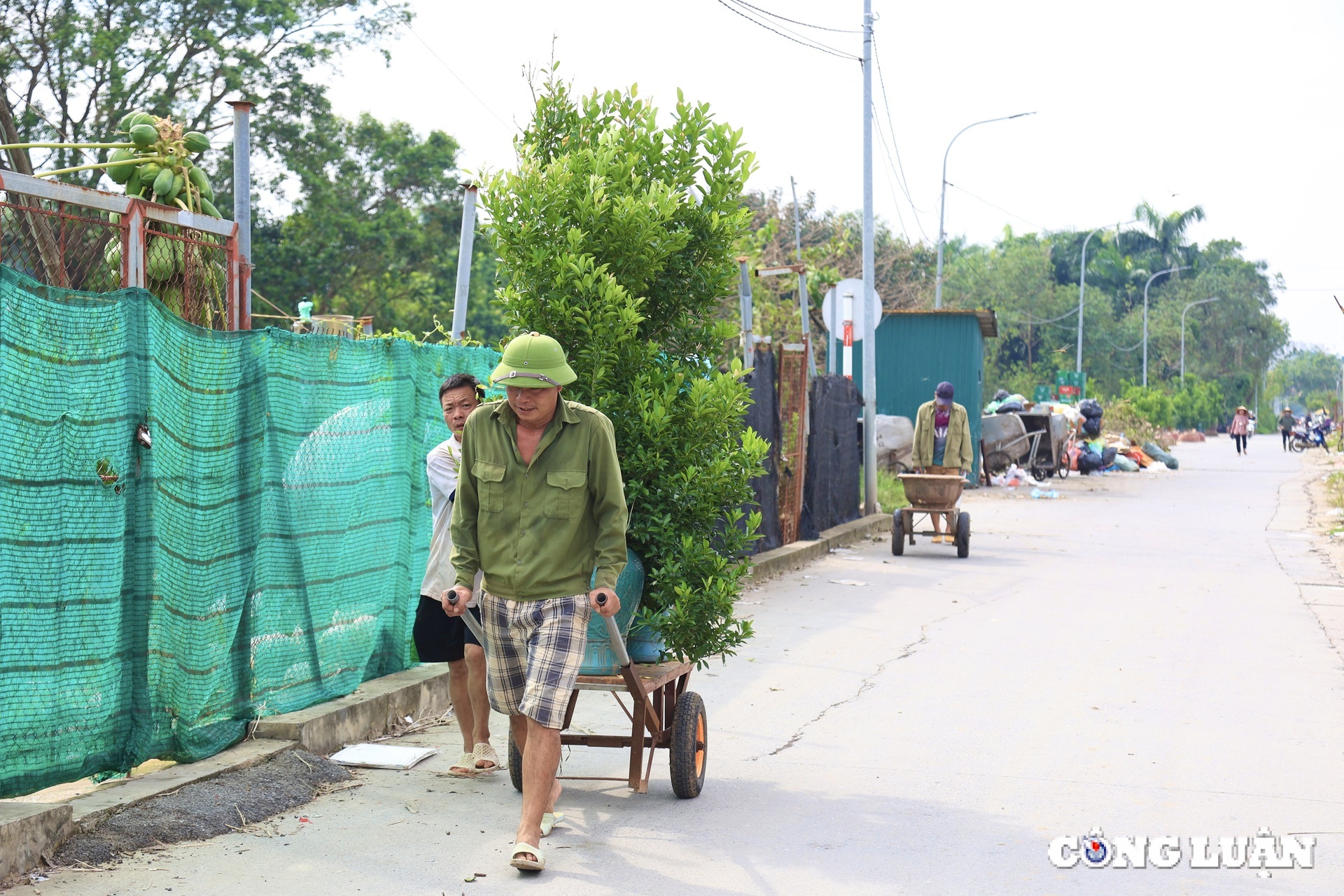 nguoi dan trong quat tu lien tat bat khoi phuc lai nhung thiet hai sau bao lu hinh 15