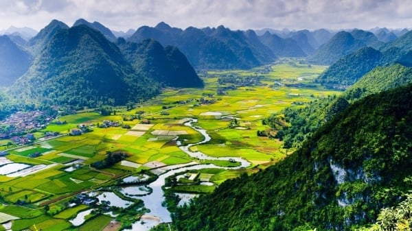 Admirez la pittoresque saison dorée dans la vallée de Bac Son