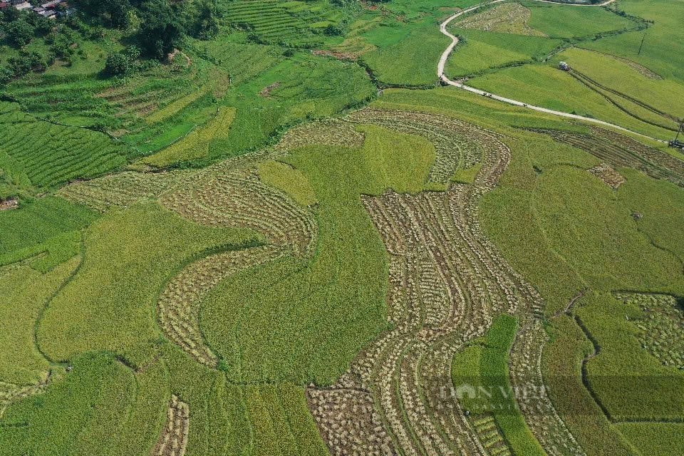 Vẻ đẹp ruộng bậc thang sau cơn lũ ở vùng cao Lào Cai  - Ảnh 15.