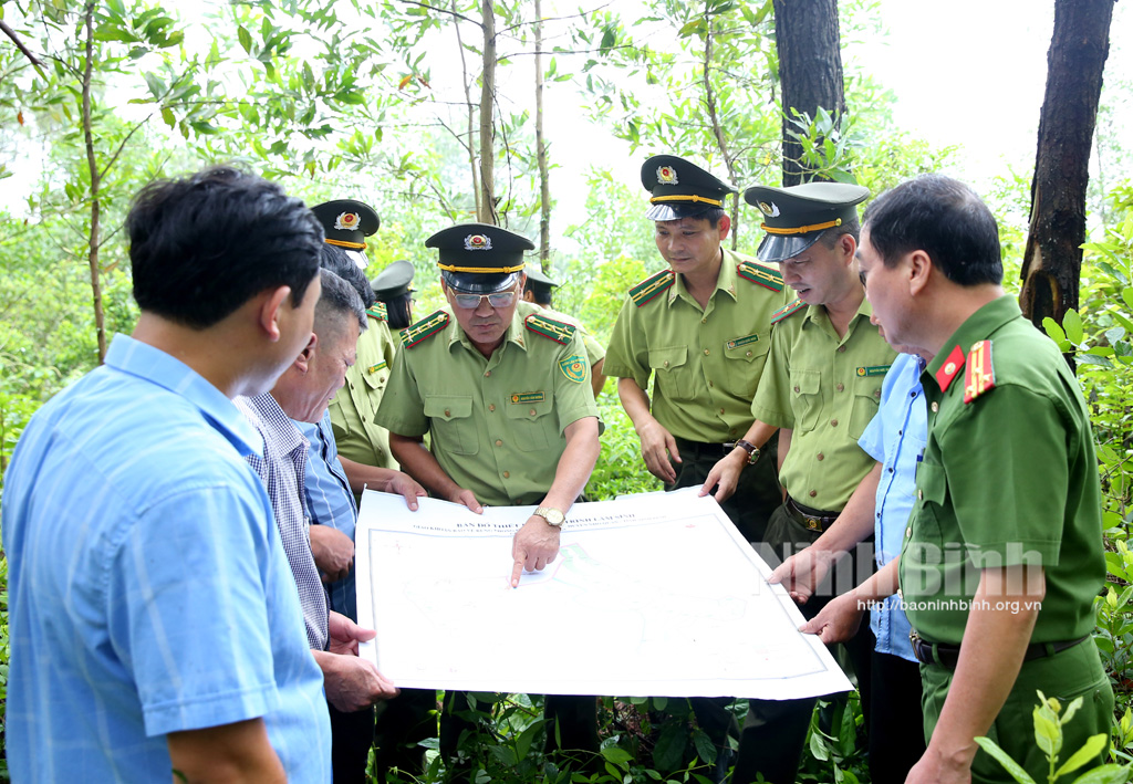 Inspection des travaux de prévention et de lutte contre les incendies de forêt dans le district de Nho Quan