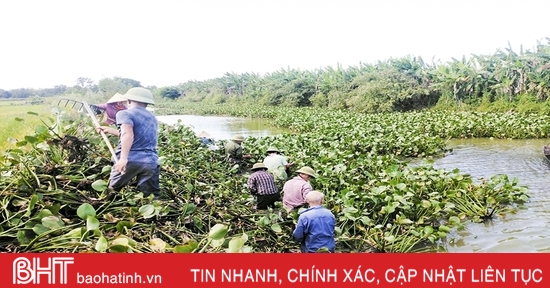 Nan giải việc xử lý bèo lục bình trên kênh nhà Lê ở Đức Thọ