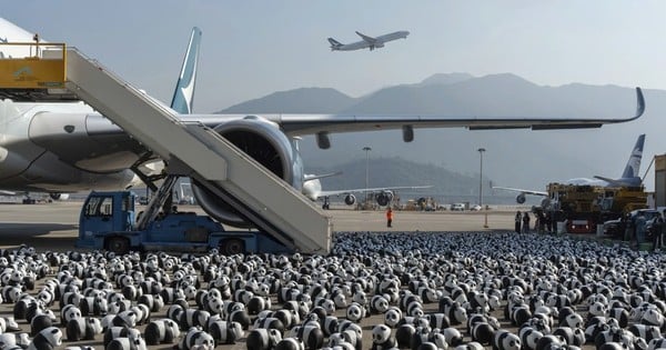 Hàng nghìn con gấu trúc ‘xâm chiếm’ sân bay Hong Kong