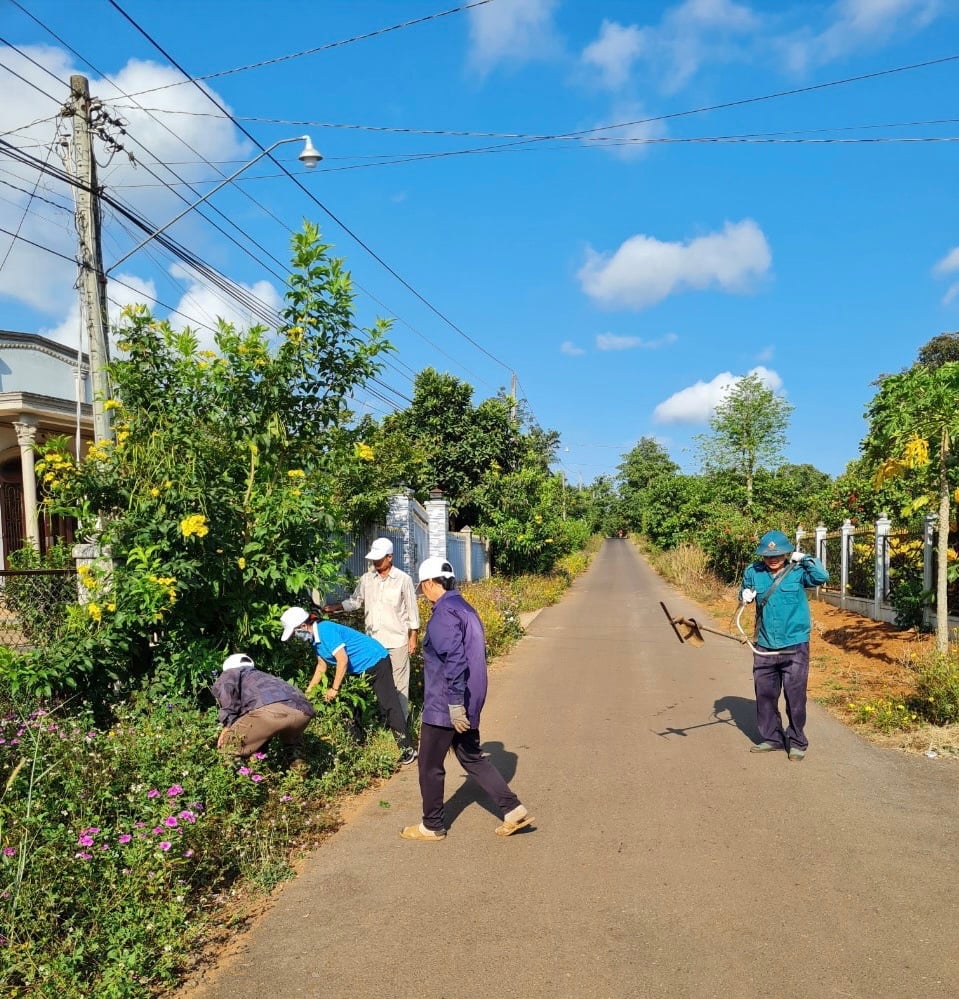 Many rural roads in the district were also cleaned during the urban beautification campaign this morning. In the photo: Cleaning rural roads in Quang Thanh commune (Chau Duc district).