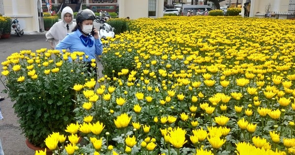 설날 꽃이 타이도 거리를 '홍수'하다