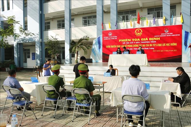 Strengthening the members of the Council for coordinating the dissemination and education of law