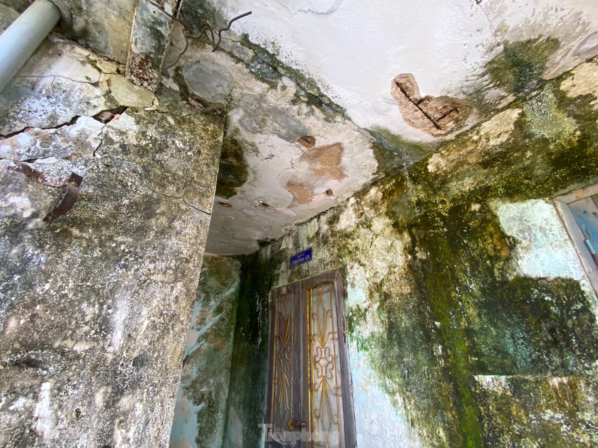 The desolation of the 'abandoned' railway line in Nghe An photo 12