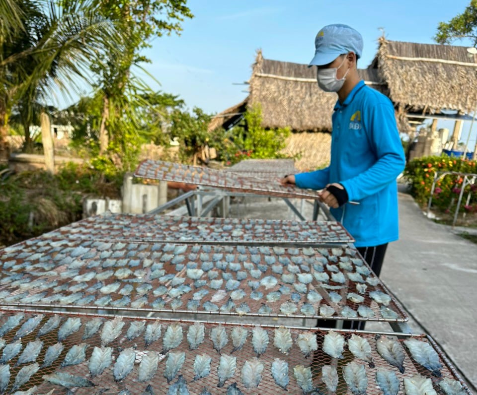 Tôm lụi, đặc sản Cà Mau ăn mùa tết ngon khỏi chê- Ảnh 4.