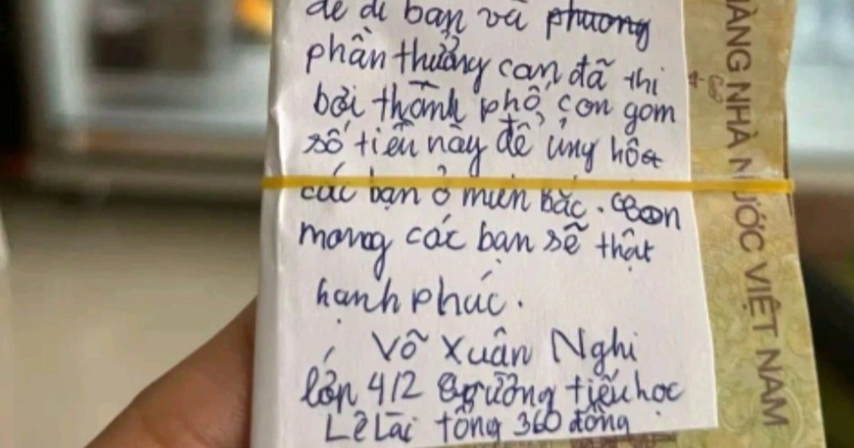 „Erklärung“ zur Herkunft des von Da Nang-Studenten an die Flutopfer gespendeten Geldes