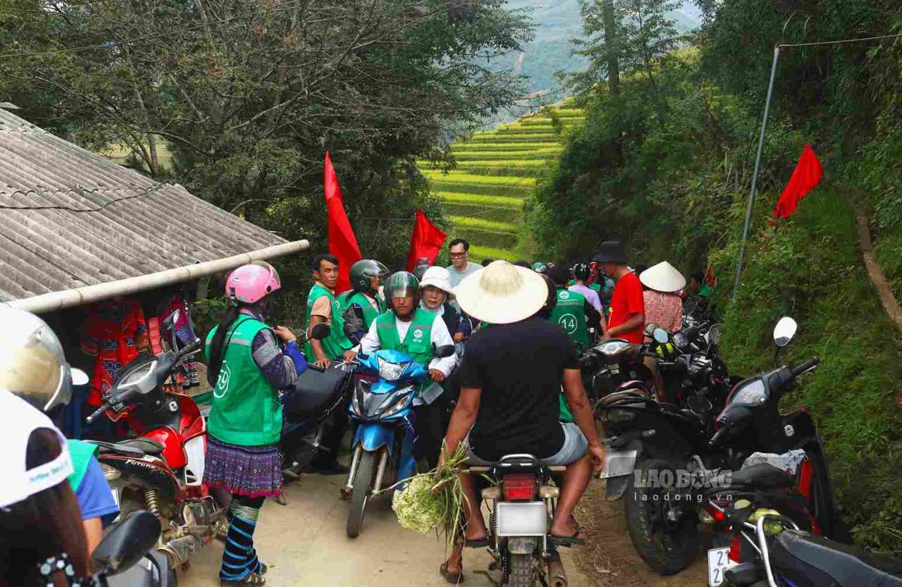 To get to Mam Xoi hill, one of the places with golden rice fields, tourists have to go through steep roads and rent motorbikes to get there.