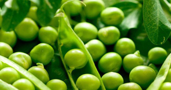 Les légumes vendus en décembre en plein marché, en manger quotidiennement peut prévenir l'hypertension artérielle