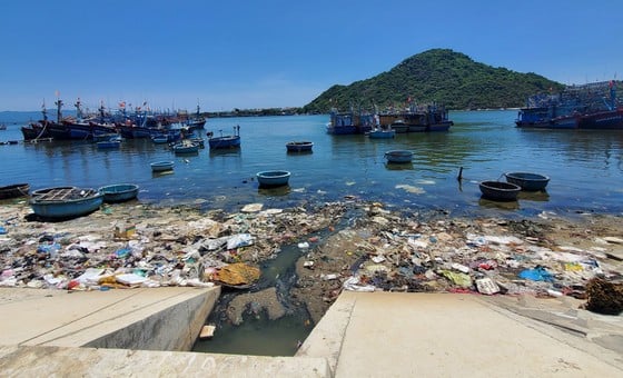 La basura inunda los estuarios y puertos pesqueros de Binh Dinh (foto 3)