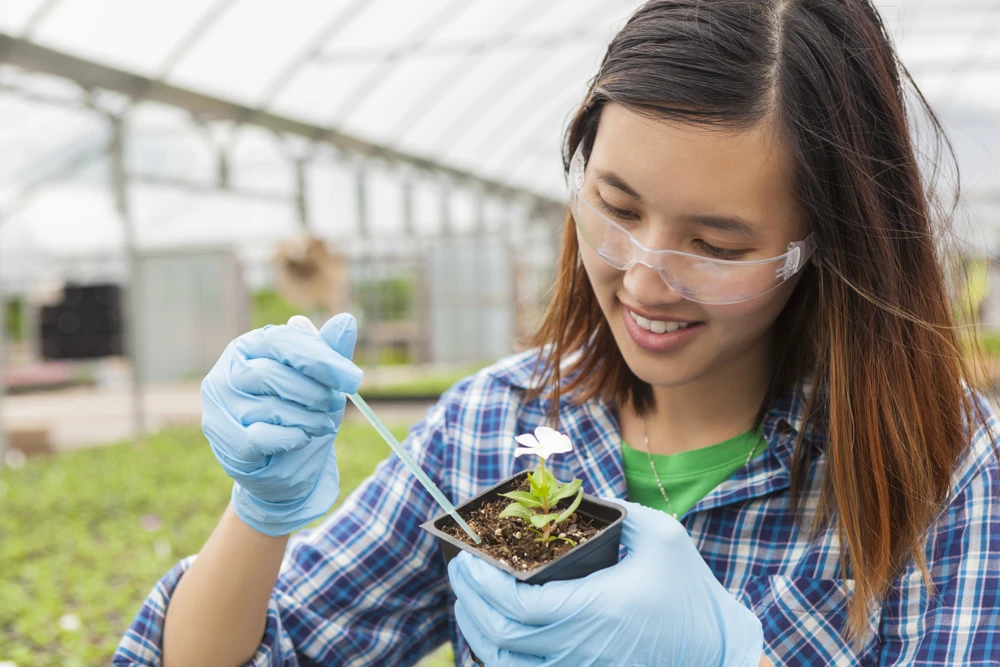 英国でSTEMを学ぶ優秀な女子学生のための奨学金プログラム。 （写真：PV/Vietnam+）