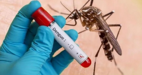 L'épidémie de dengue est compliquée dans de nombreuses localités