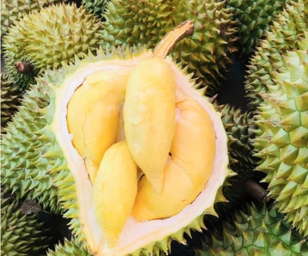 Pepper price turns down; Thai durian price increases by 106,000 VND/kg