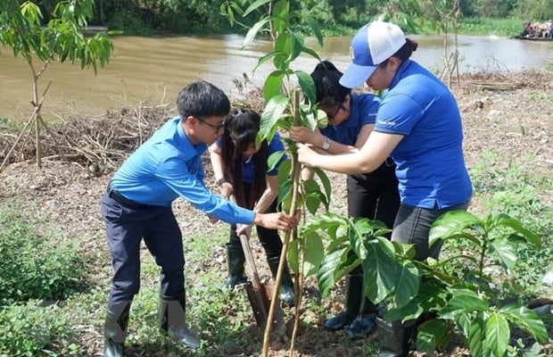 Đoàn viên, thanh niên TTXVN trồng 500 cây xanh hưởng ứng Ngày Môi trường thế giới