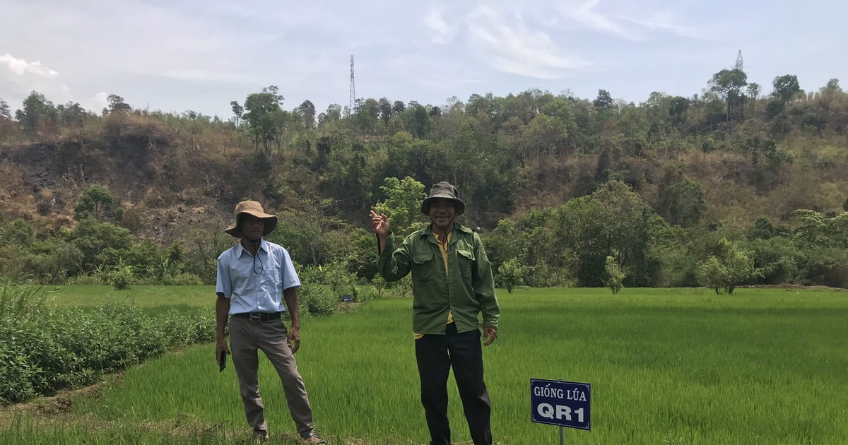 Triển khai các mô hình chuyển giao tiến bộ kỹ thuật cho người dân học tập | Báo Gia Lai điện tử