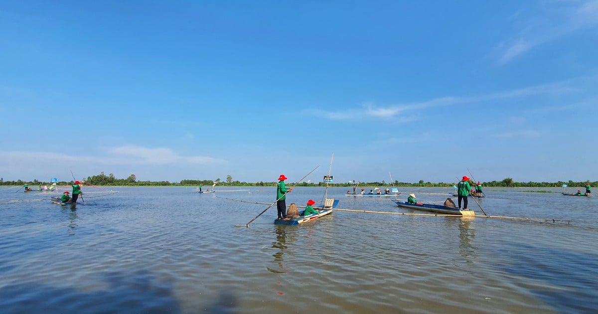 Hau Giang: Es la primera vez que se organiza el concurso "Pulling Con para pescar en temporada de inundaciones"