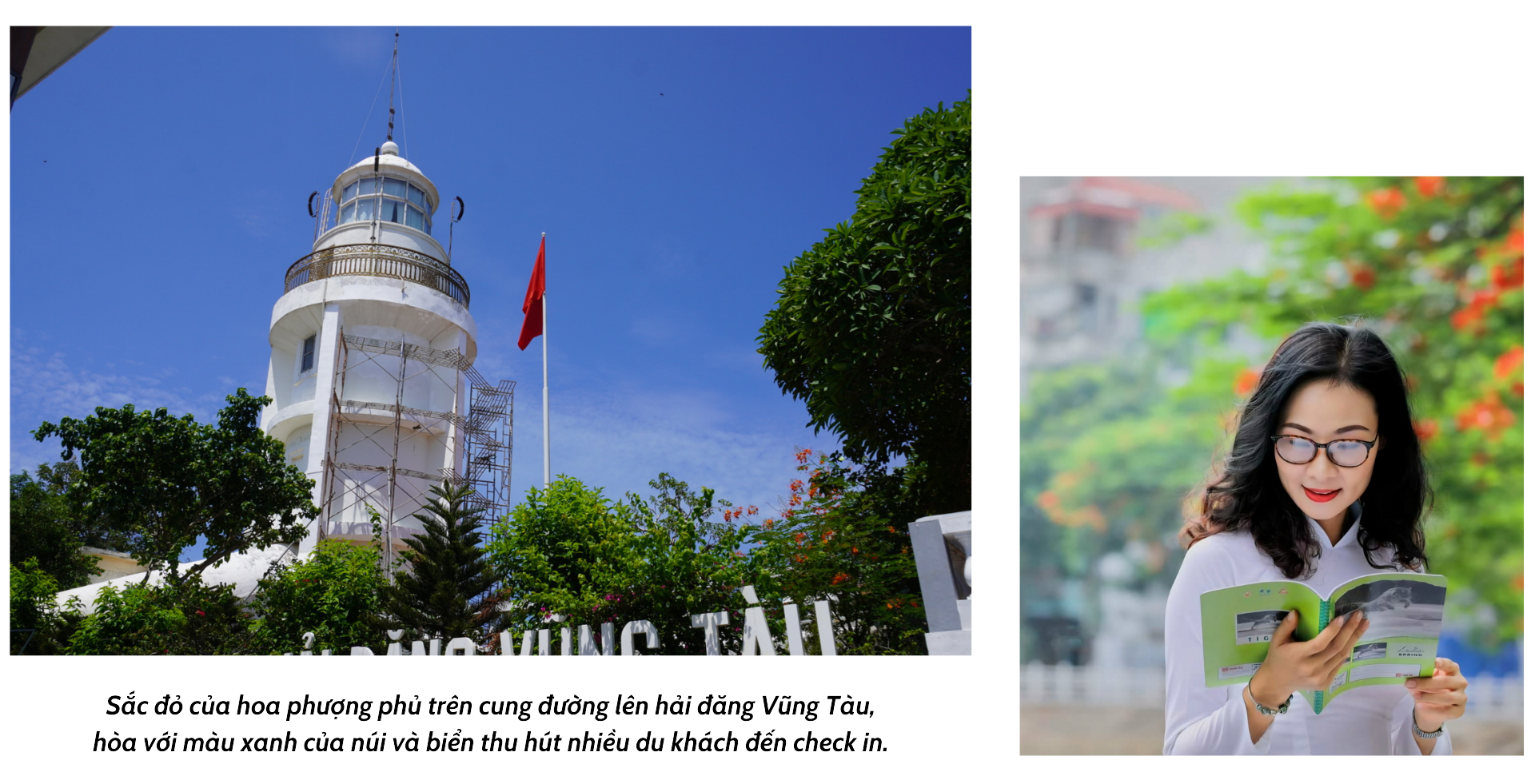 Vung Tau - the red phoenix flower city of the South - Photo 2