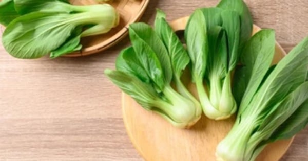 3 tolle Vorteile von Bok Choy und was Sie beim Verzehr beachten sollten