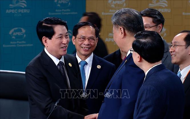 APEC 2024: President Luong Cuong meets with economic leaders