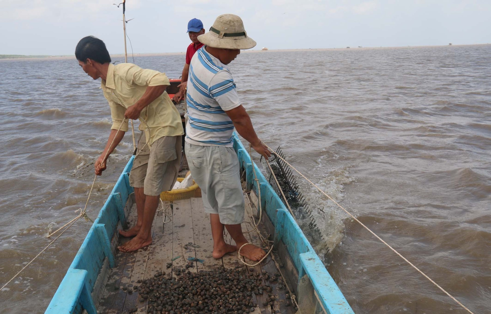Nông dân đổi đời nhờ nuôi sò huyết - Ảnh 2.
