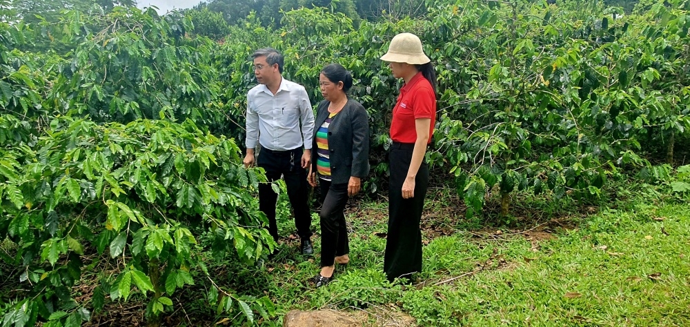 Kon Tum: Trên 80% dư nợ được đầu tư vào khu vực “tam nông”