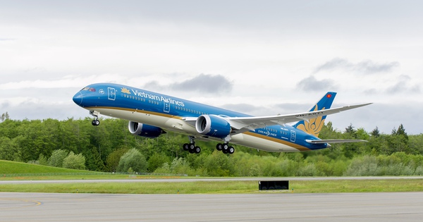 Vietnam Airlines plane makes emergency landing in Da Nang to rescue passengers in time