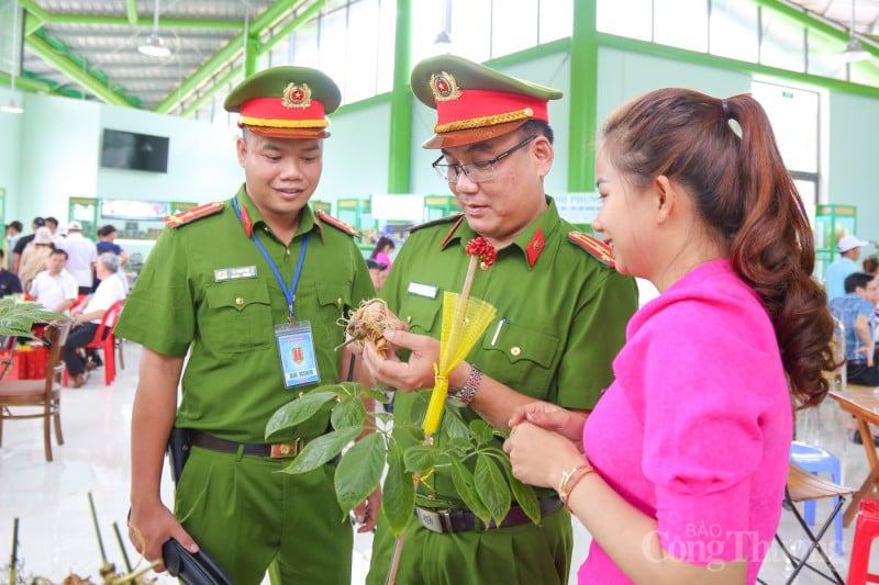 Quảng Nam: Tập trung ngăn ngừa quảng cáo, mua bán sản phẩm sâm Ngọc Linh giả trên mạng xã hội