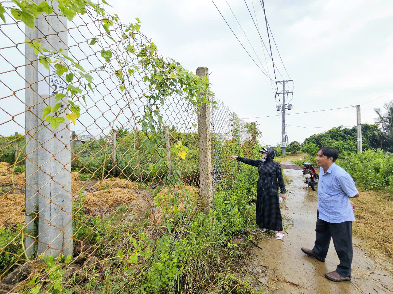 Không có quyết định thu hồi đất, vẫn lấy đất của dân giao doanh nghiệp điện gió - Ảnh 1.