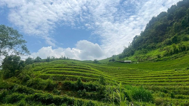 Du khách thích thú trải nghiệm ‘bản làng trên mây’ ở Yên Bái ảnh 8